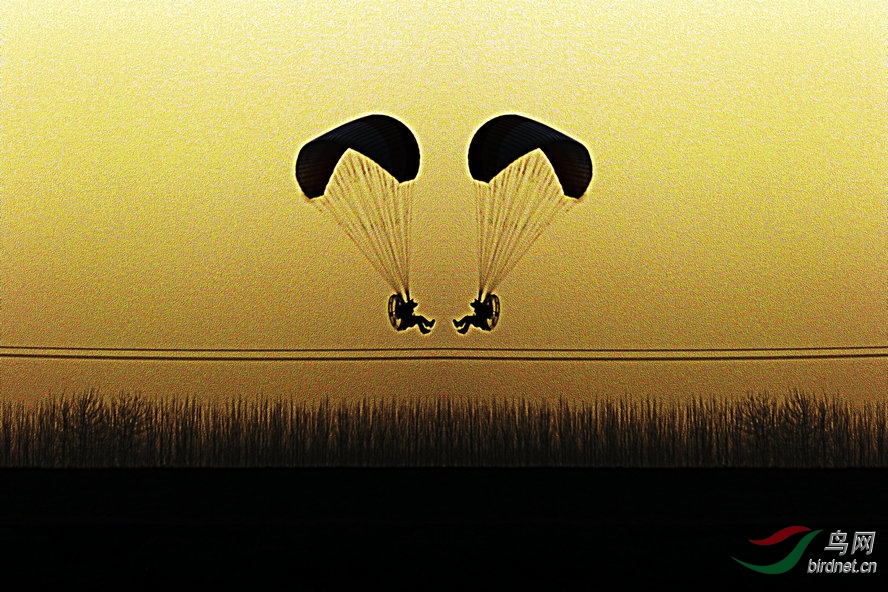 4K0A1224_����_����.jpg