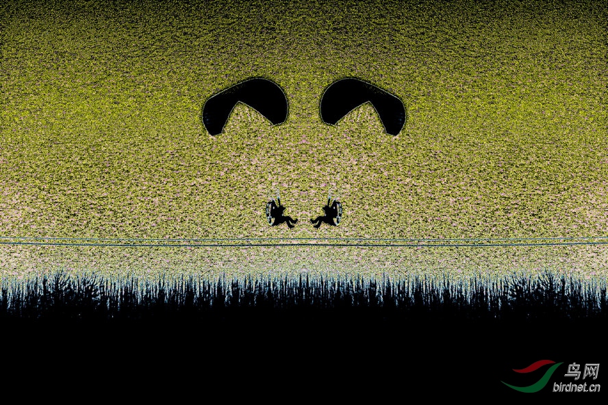 4K0A1224_����_����2_����1_����1_����.jpg