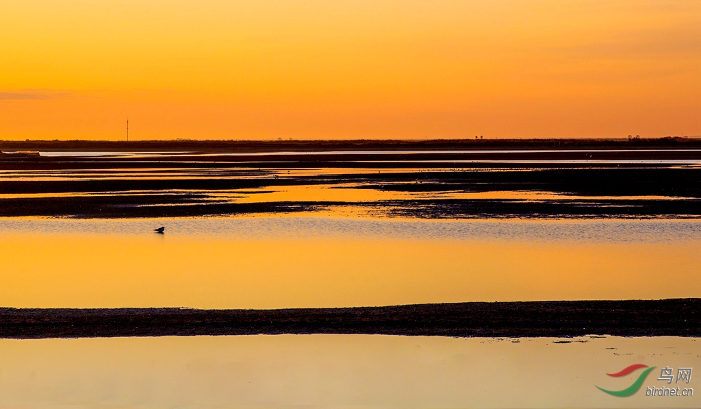 916A6429  ʪ�س���_����.jpg