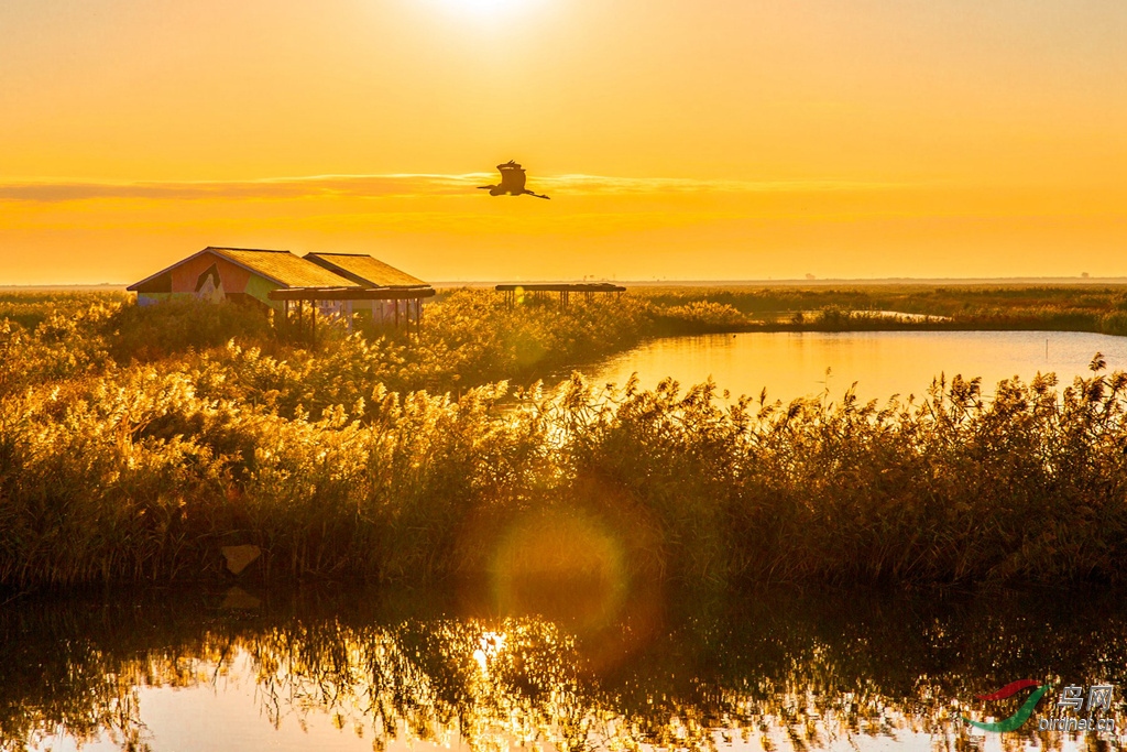 916A6442  ��ɫ�ĺ캣̲_����_����.jpg