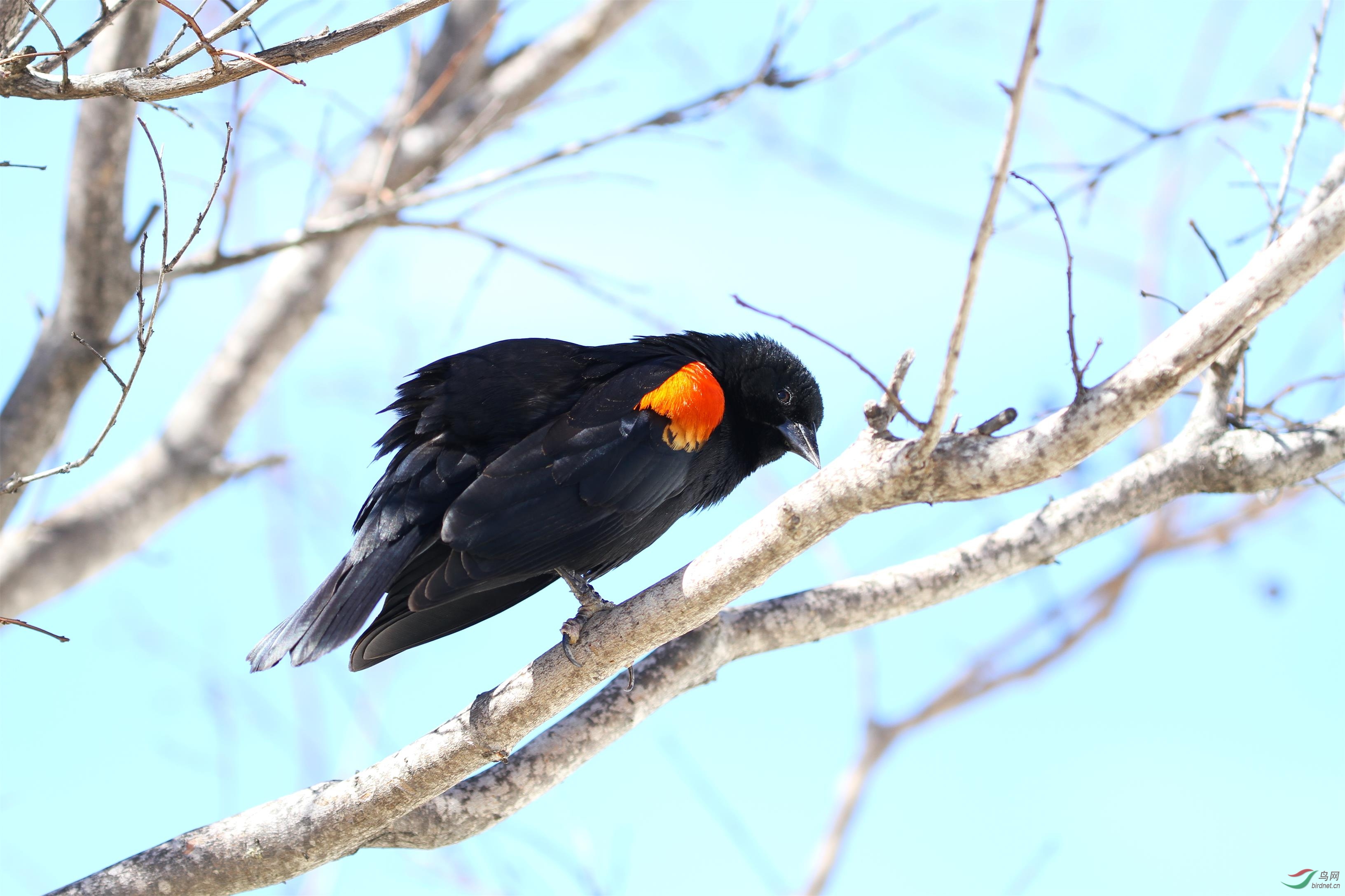 IMG_0443.JPG