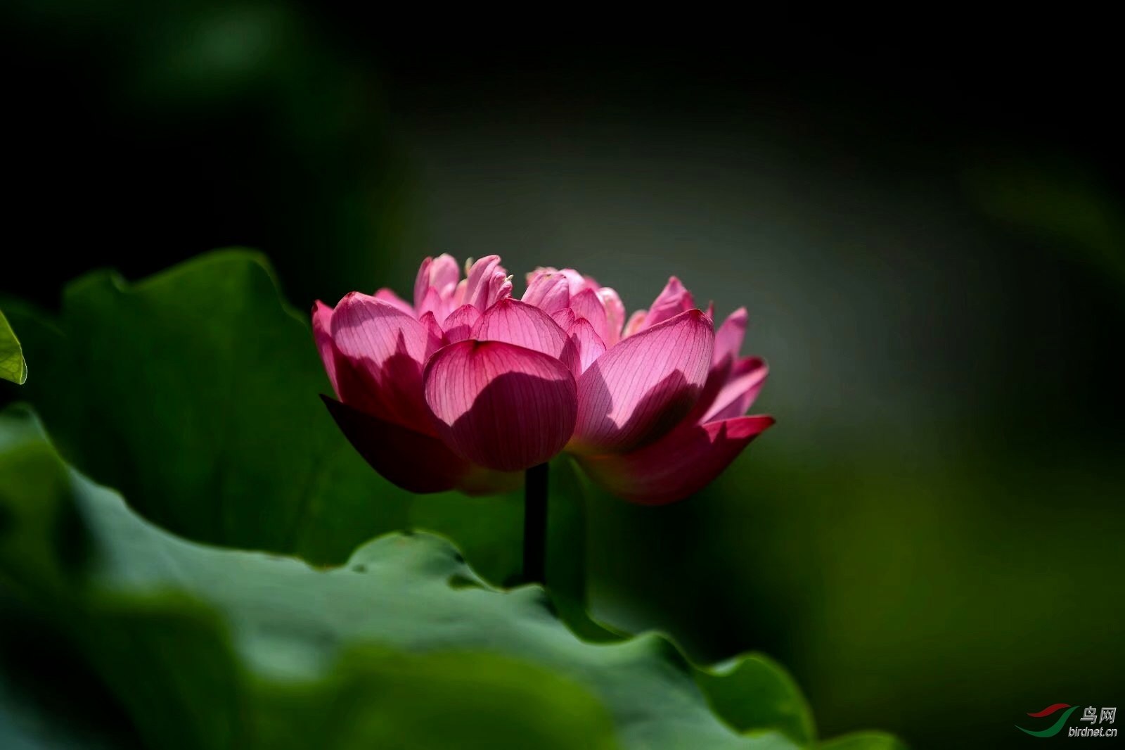 7567EE3C-DD1E-4575-B31F-96D055A310DA.jpeg