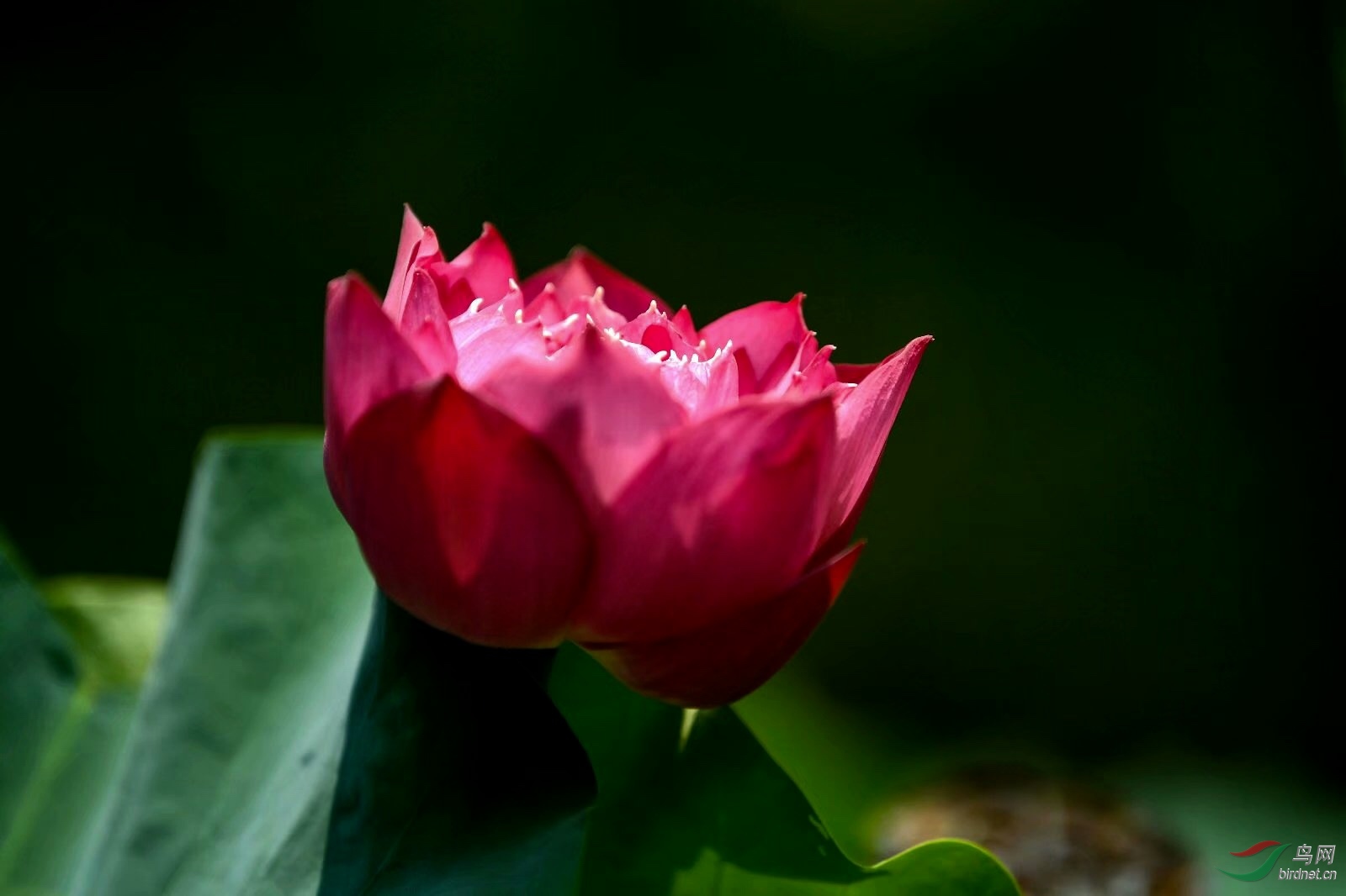 4C489BE9-CCD4-4338-9D3D-0BA007695793.jpeg