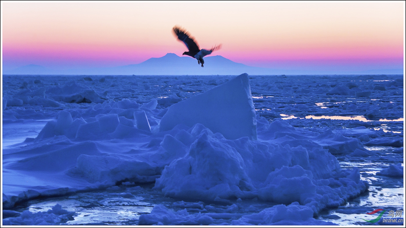 DSC_1303-0.jpg
