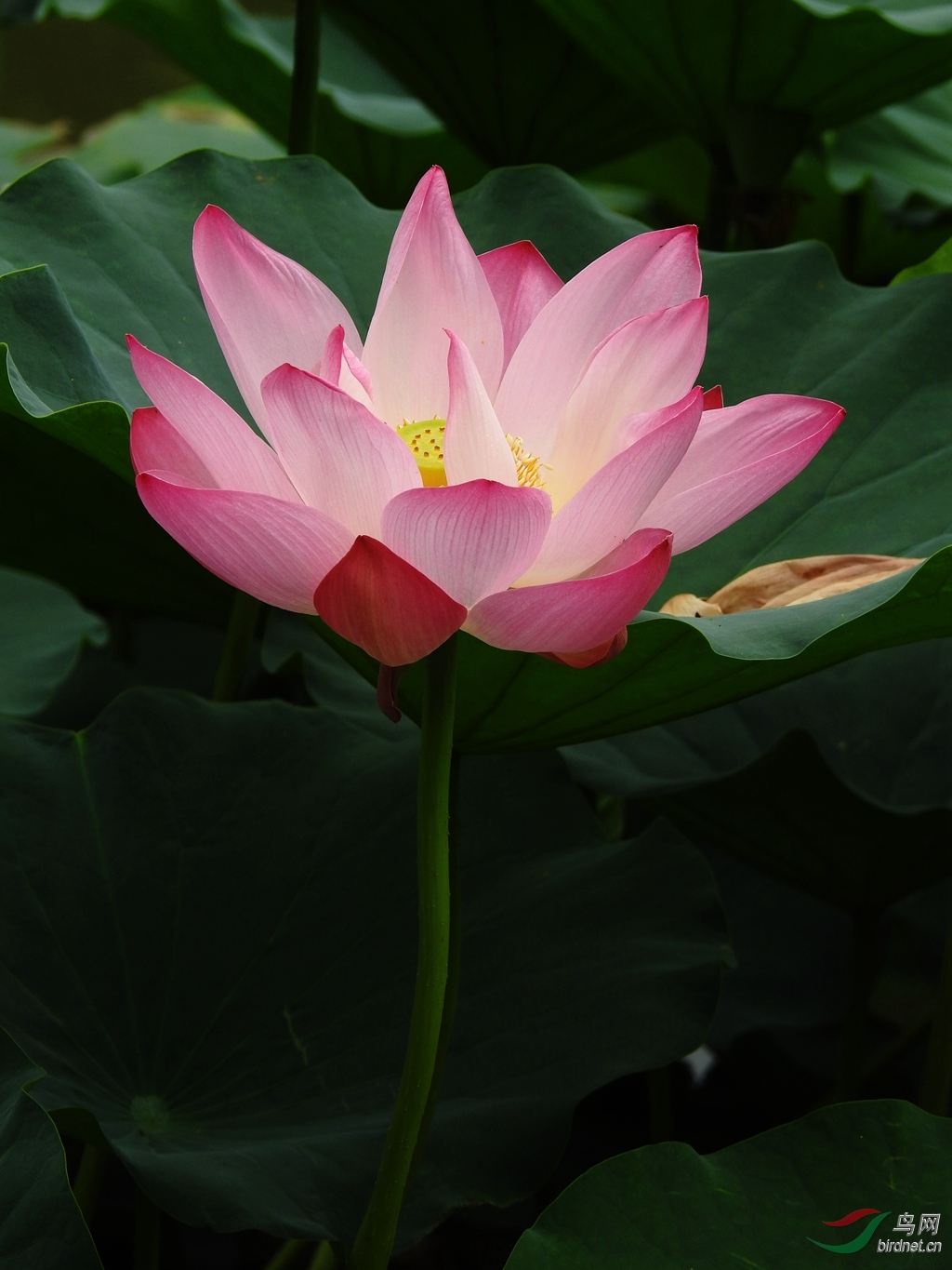 DSCN8720_����.jpg