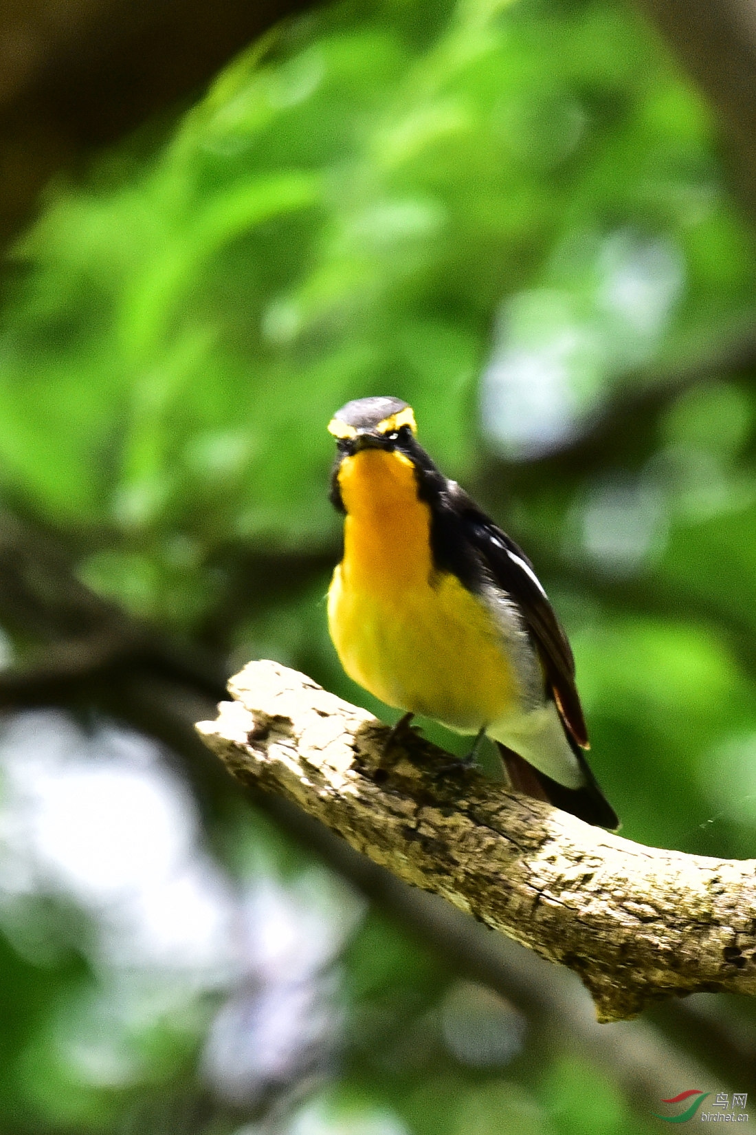 DSC_0663.JPG
