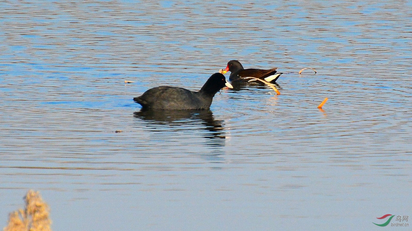 DSC_6778.JPG