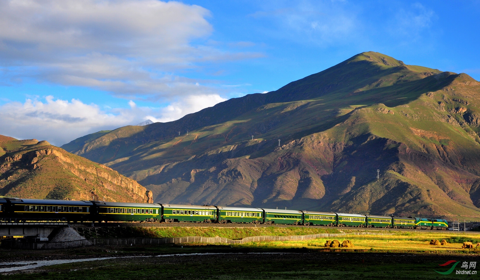 ��·   DSC_7485.JPG