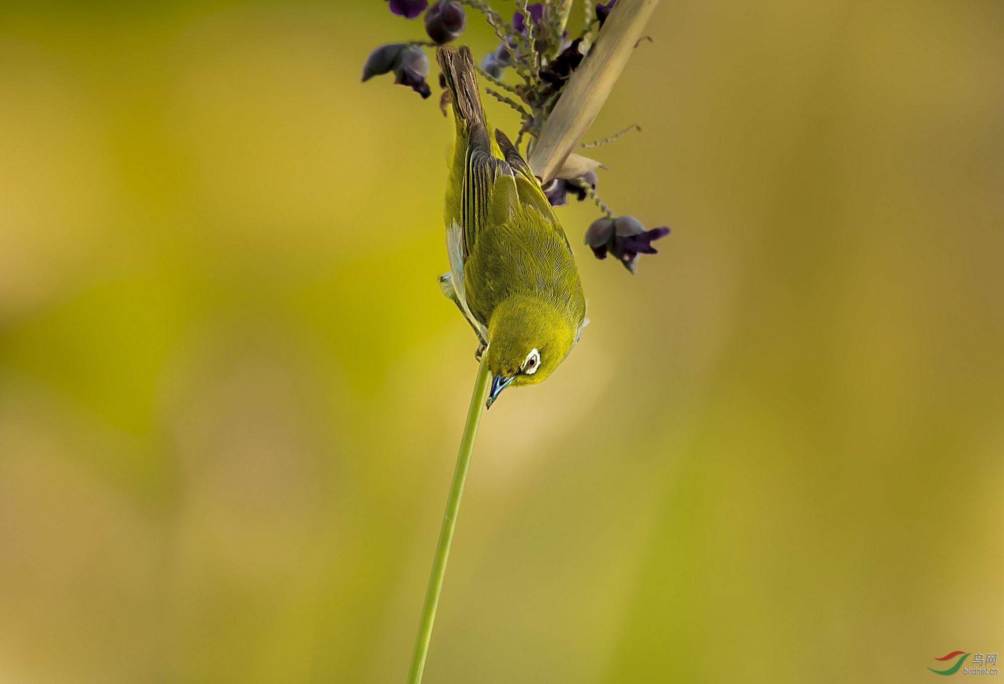 DSC_0400_����.jpg