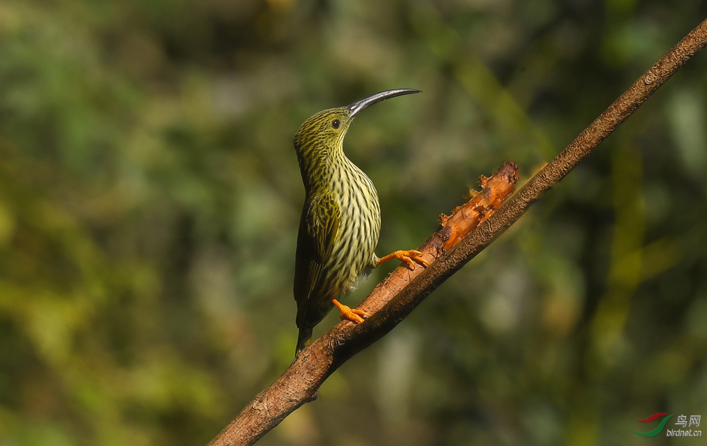 DSC_0747 2.jpg