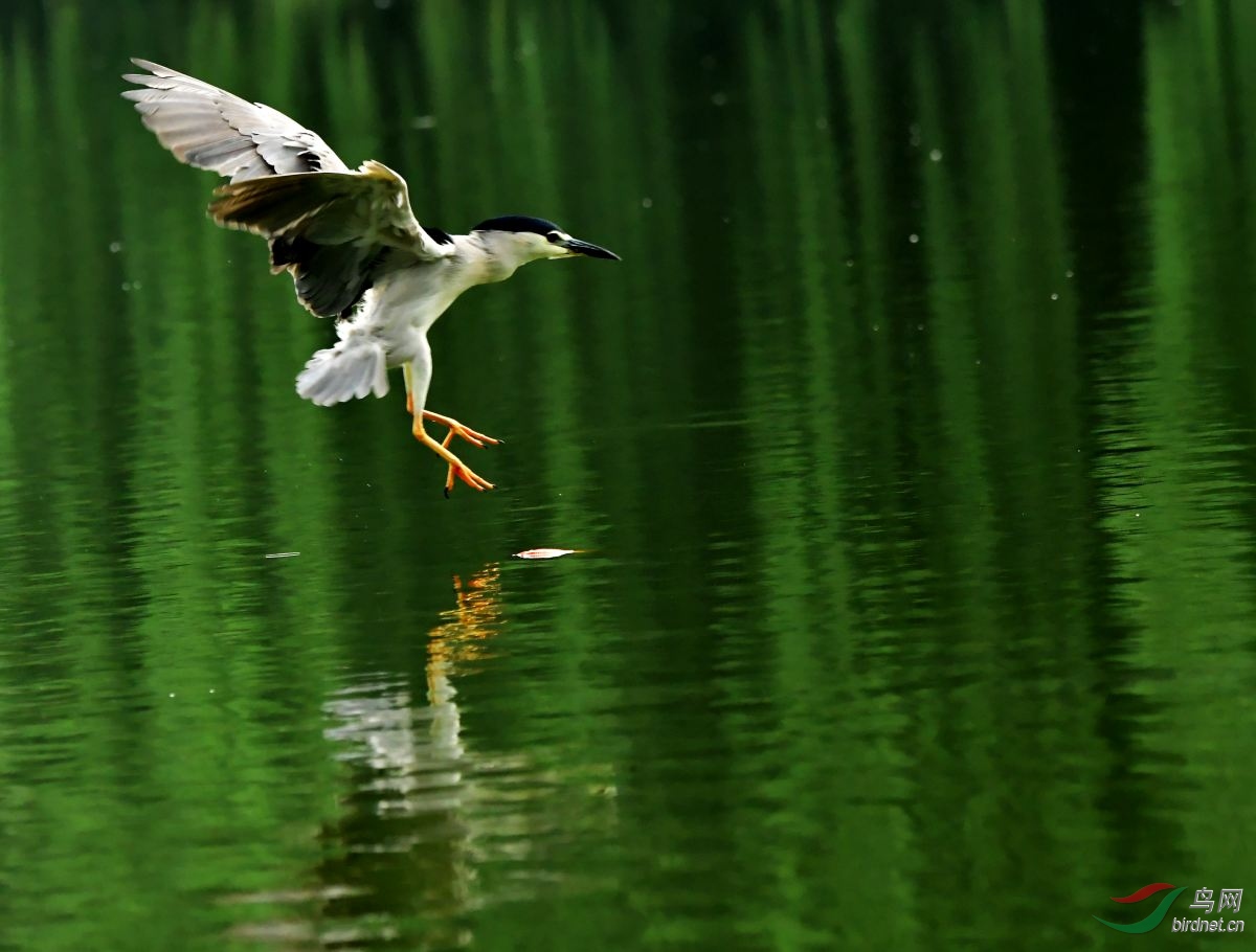 DSC_1366_conew2.jpg