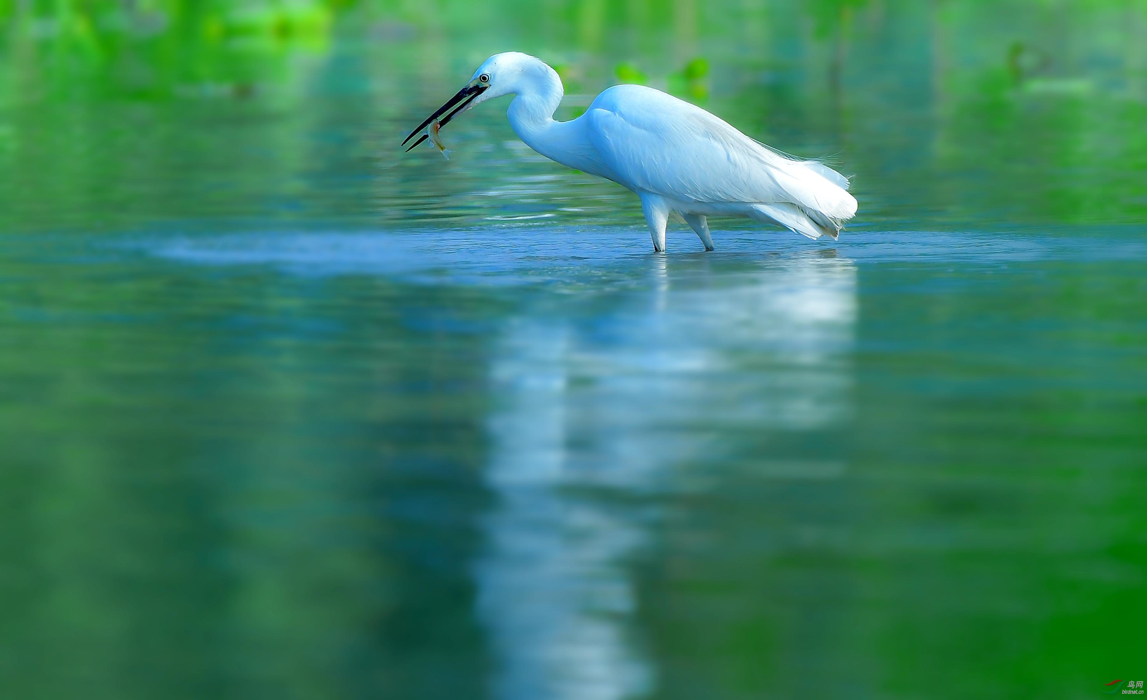 DSC_4664.jpg
