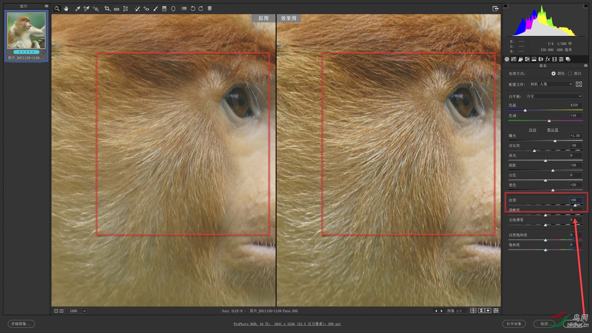 02 ������+80��Ч���Աȣ����Ϊԭʼ���Ҳ�+80�� s.jpg