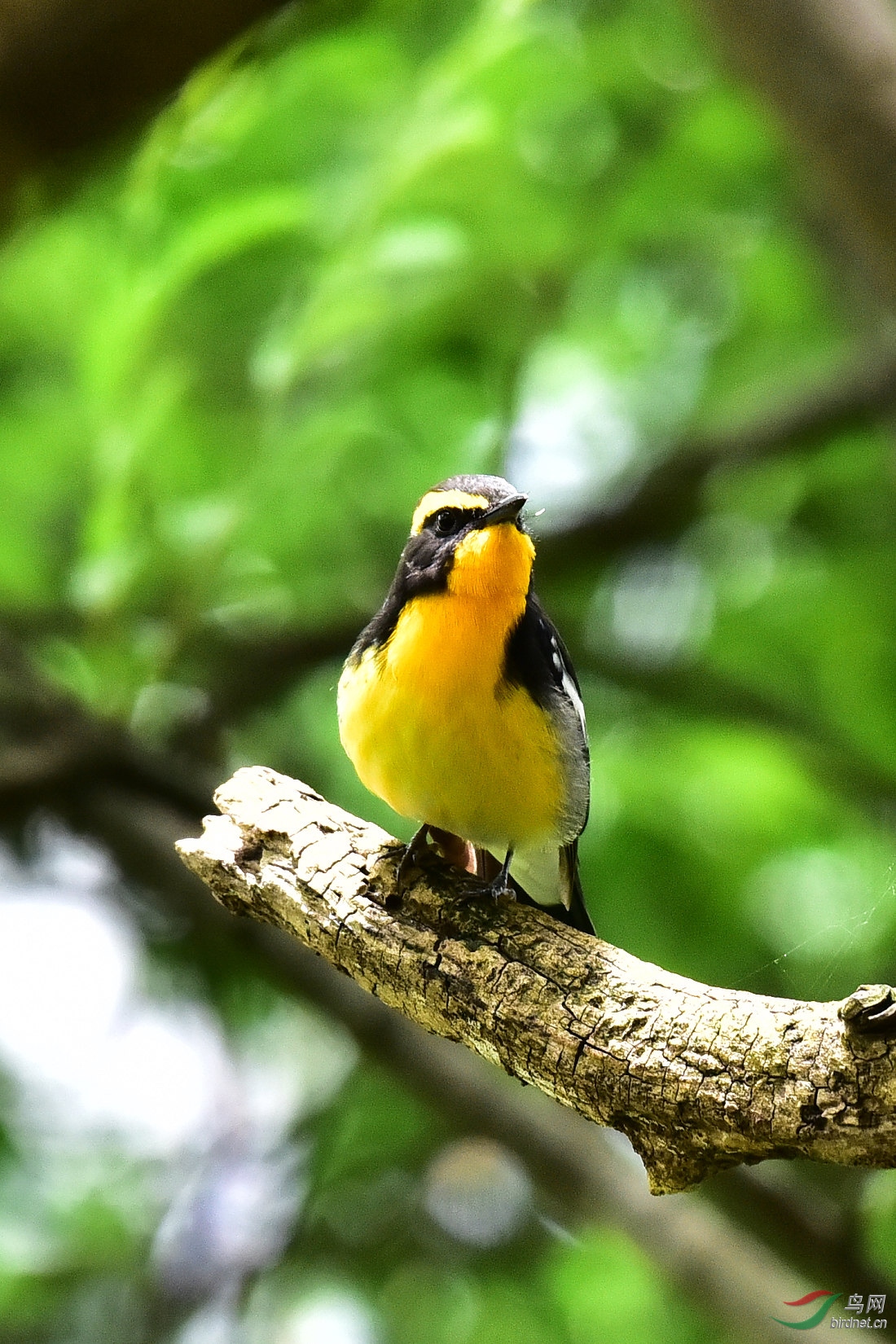 DSC_0666.JPG