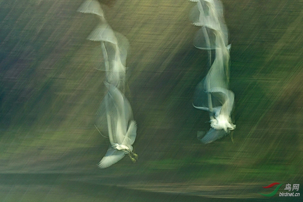 DSC_4188a.jpg