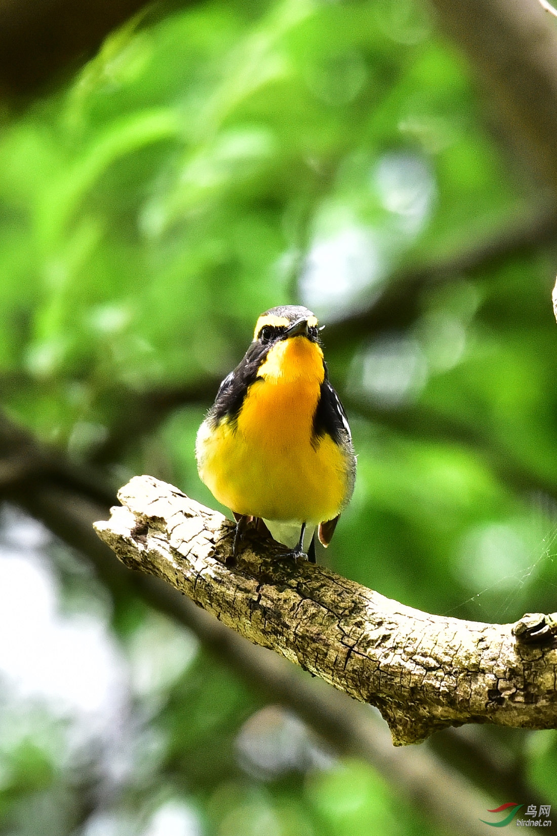 DSC_0676.JPG