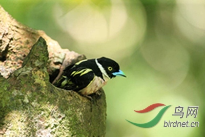1095.jpg