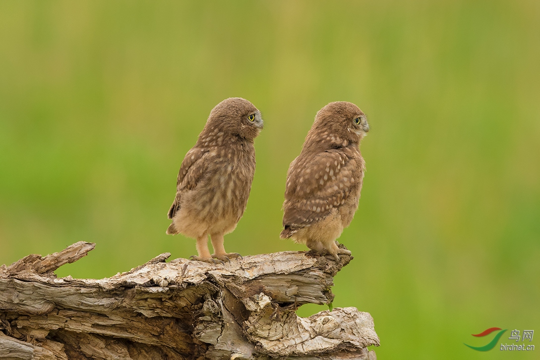 DSC_5984-2.jpg