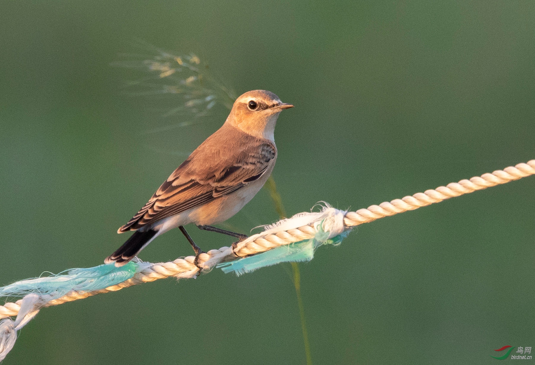 3S5A0913  01_����.jpg