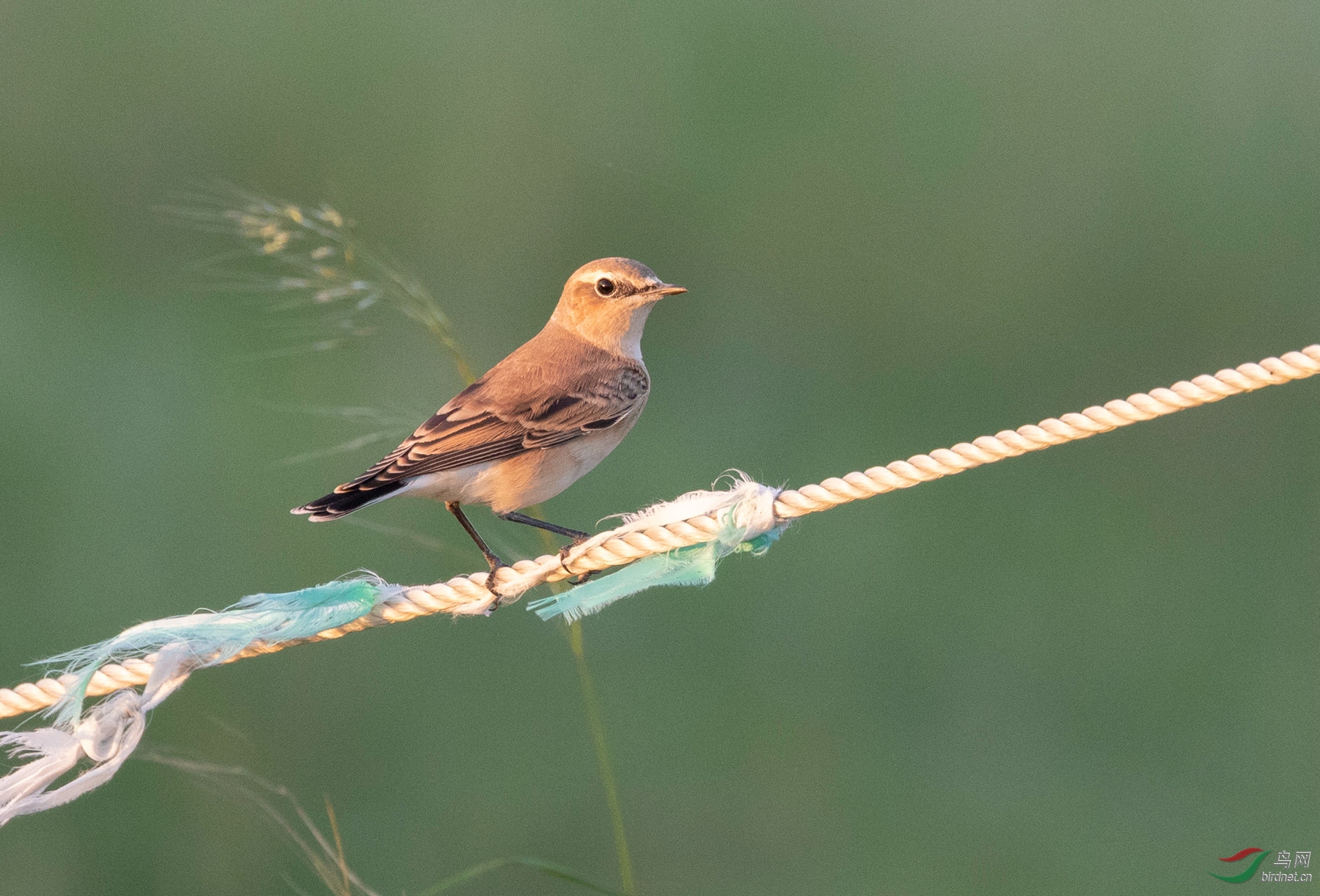 3S5A0910  01_����.jpg