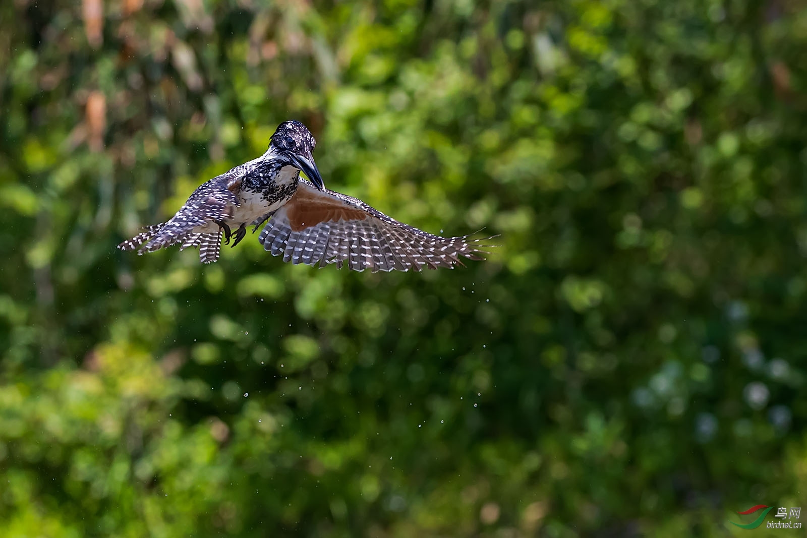 XY011436 ����.jpg