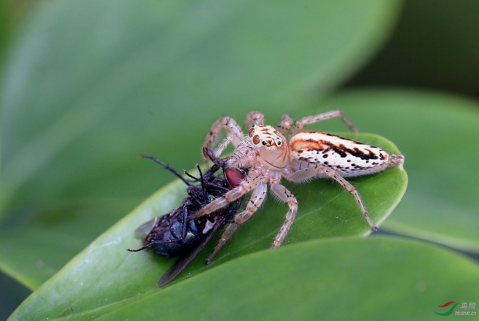 AI0I7745 - ����.JPG