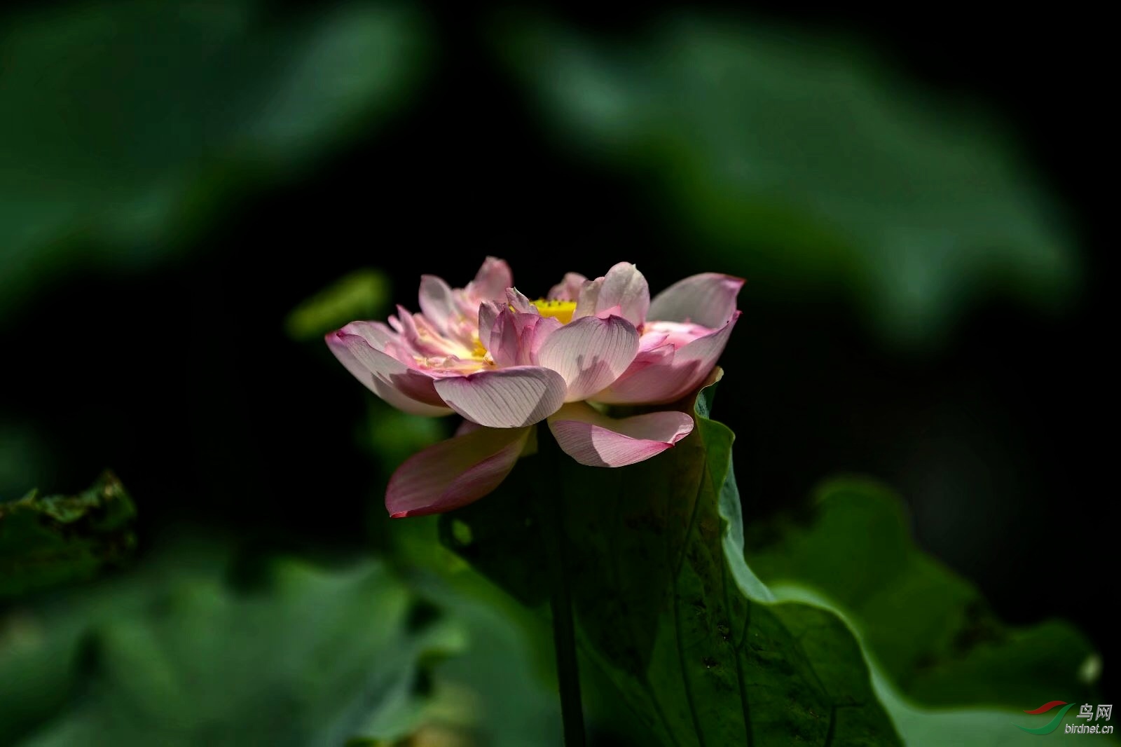 C1100E1C-C425-44EE-9BC2-239DE4441534.jpeg
