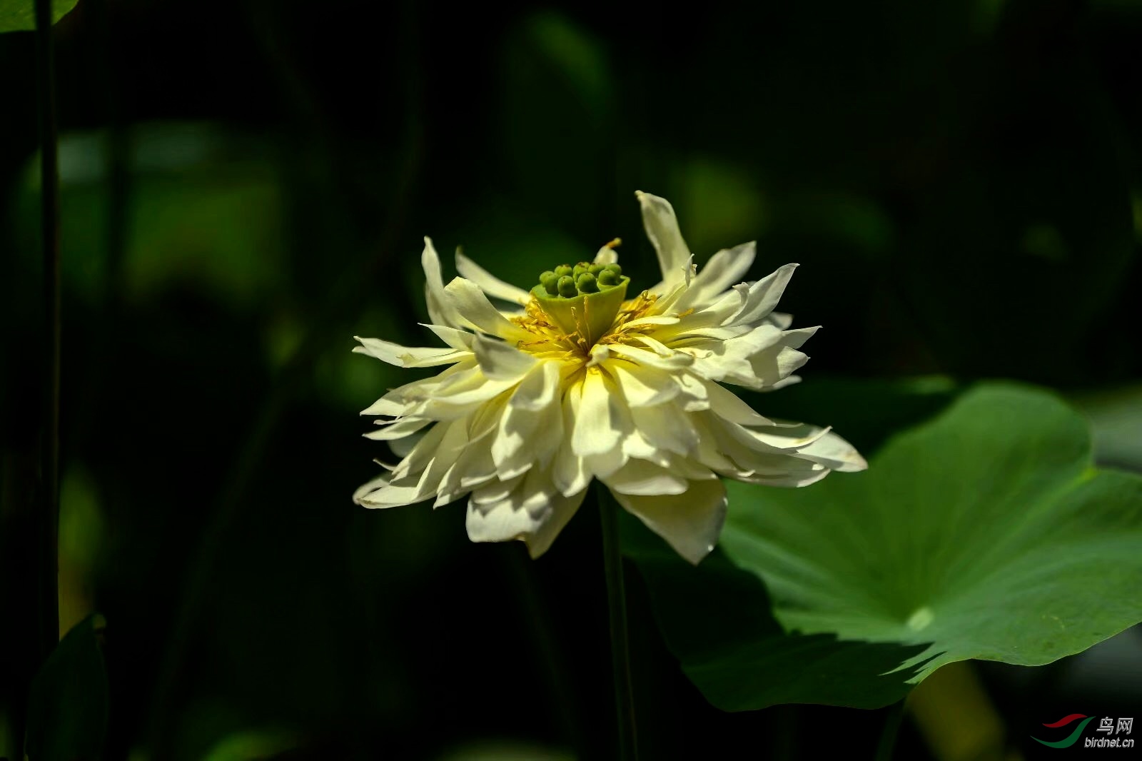 D9CAD579-16B4-464C-9683-73FEC6425056.jpeg