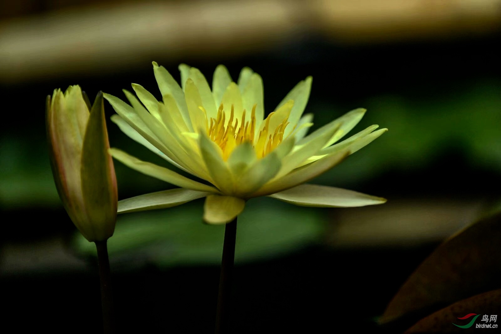 93F2DE7B-A703-44DC-9856-D5AE27C333D0.jpeg