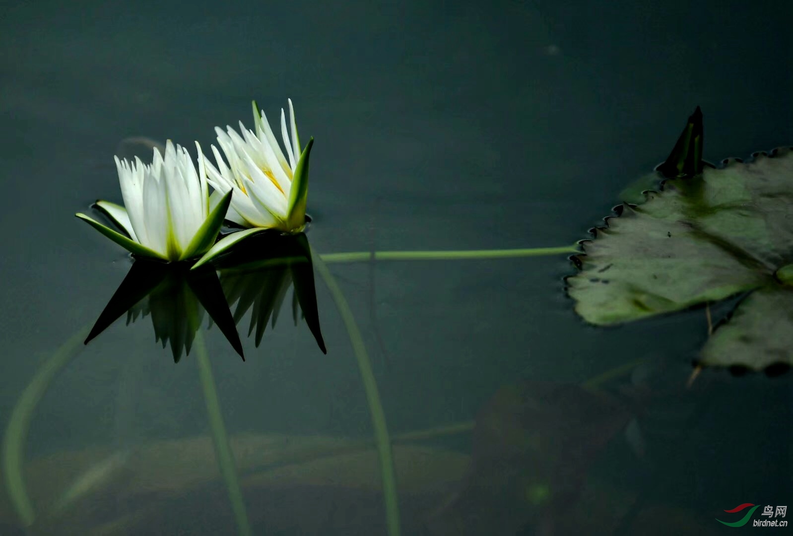 D44F3025-1BC9-4561-BD1D-61D9AC85458F.jpeg