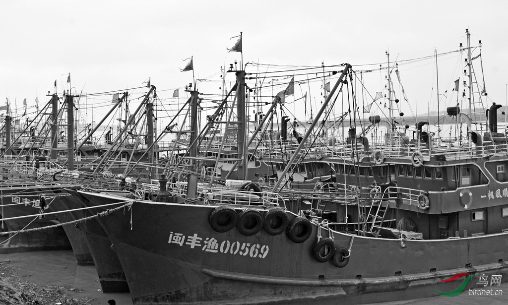 DSC_4183_����1_500.jpg