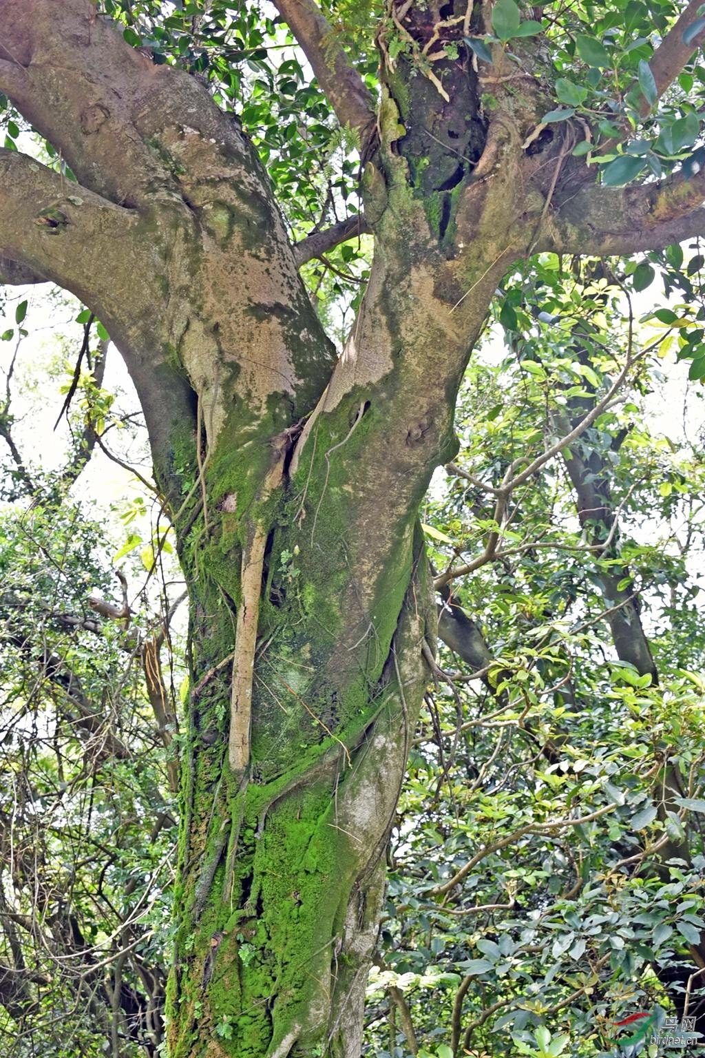 DSC_4278_����_500.jpg
