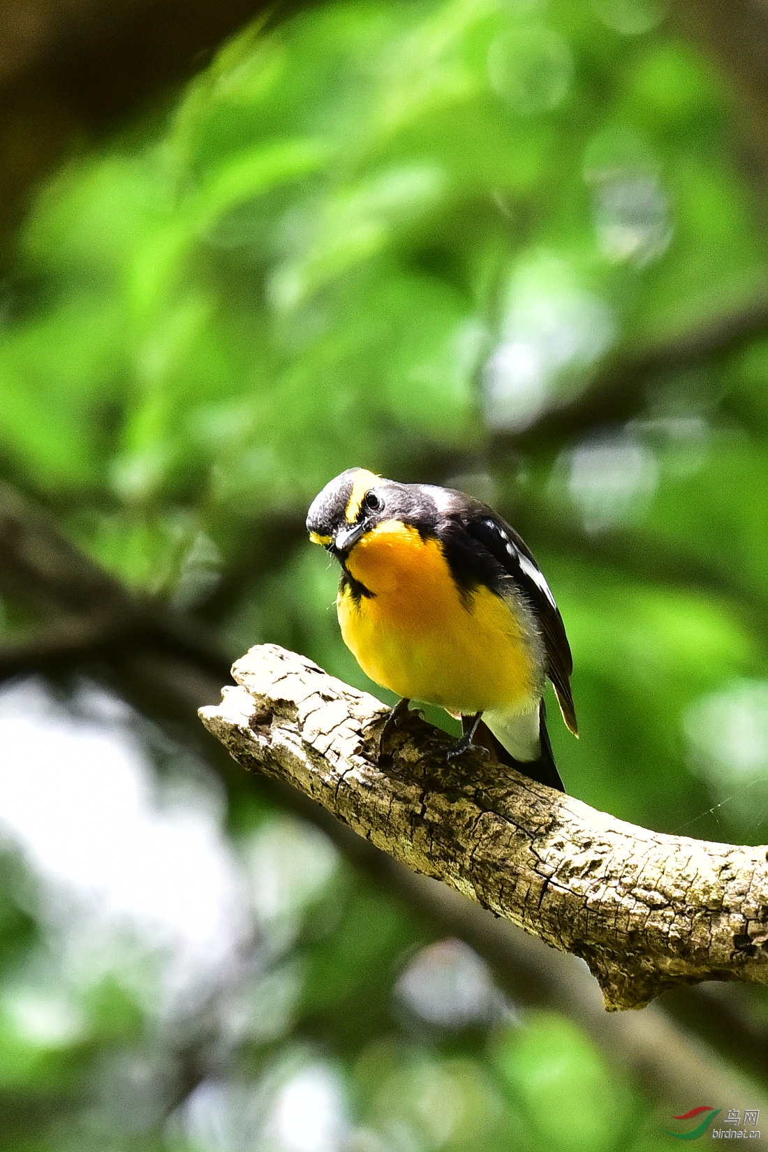 DSC_0683.JPG