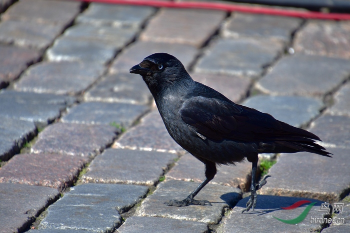 DSC_8255.JPG