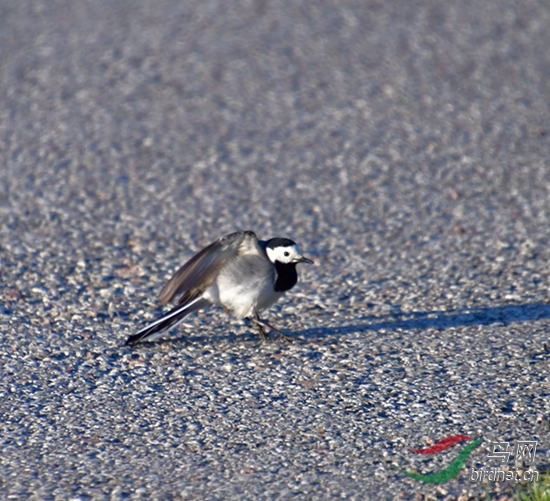 DSC_8315.JPG