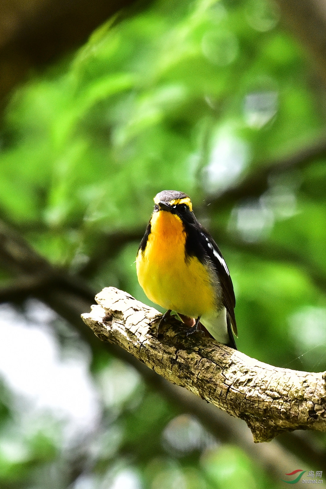 DSC_0685.JPG