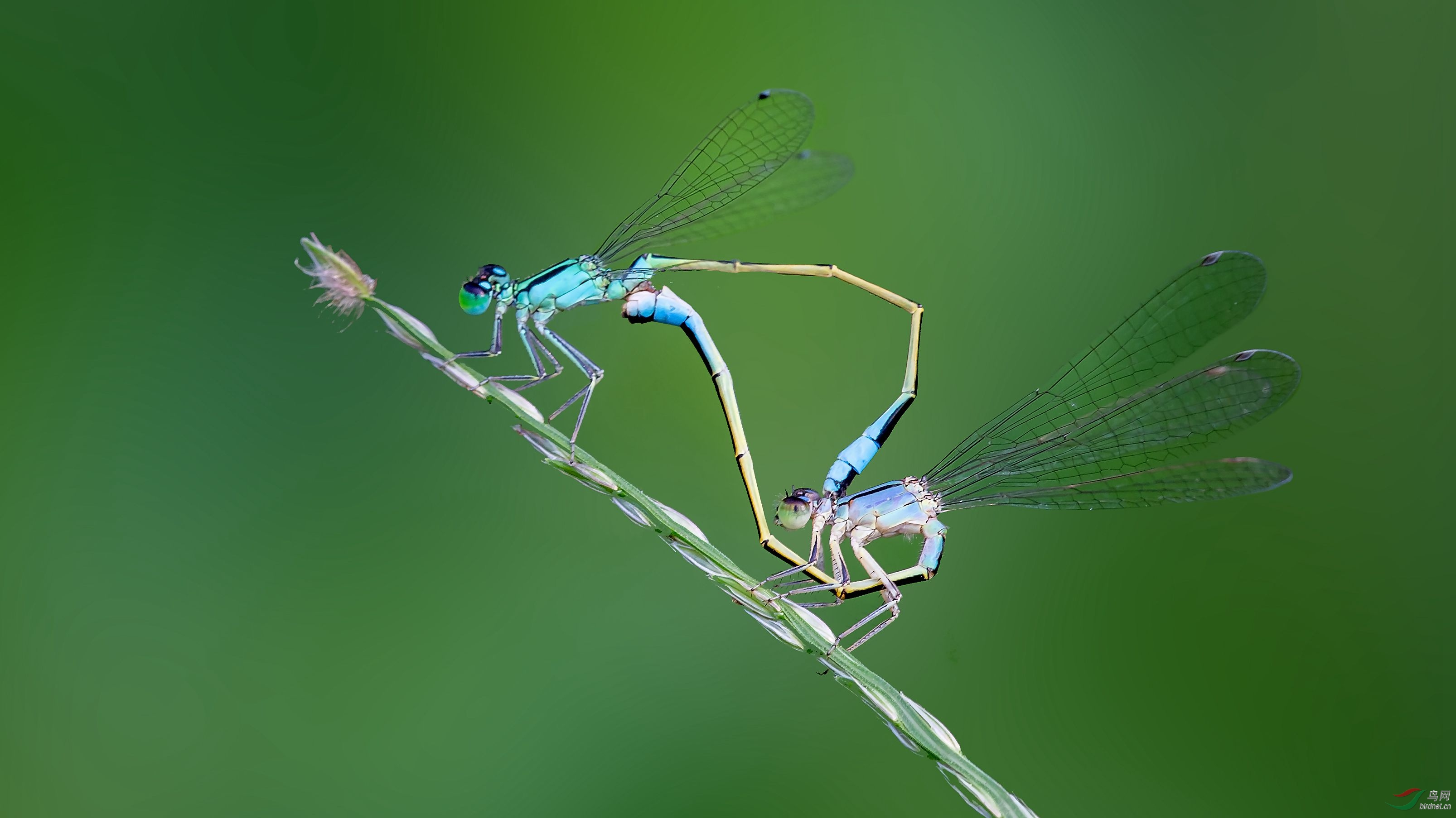 7G9A8508-1_����.jpg