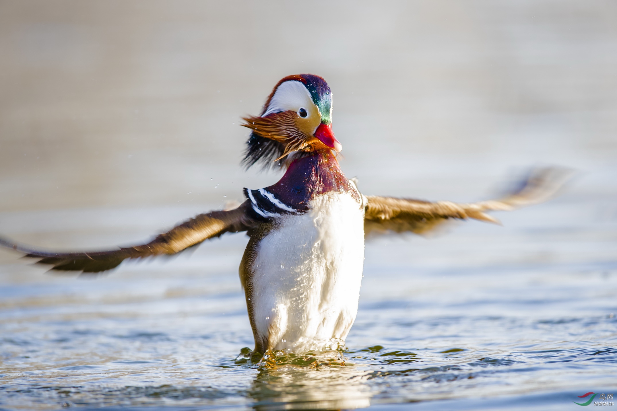 _F4I7121-1��������_��ƾ�紵�˴� ��ԧ�챱����.JPG