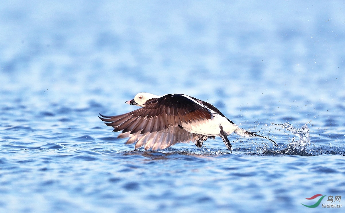 ף21Ԫ��˳������