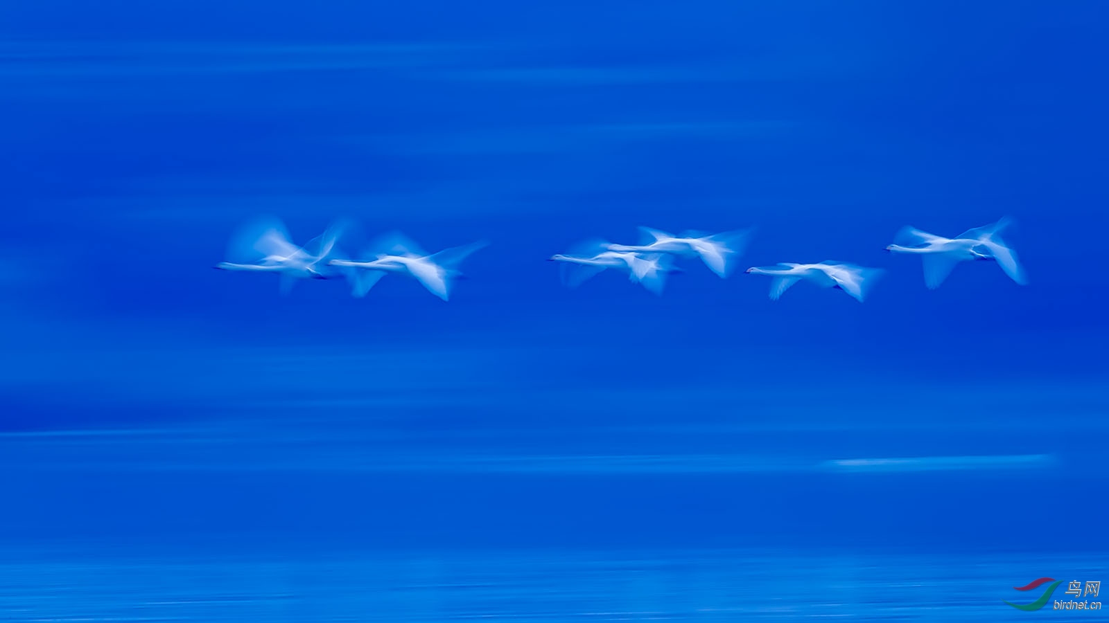 SMX15709 ����.jpg