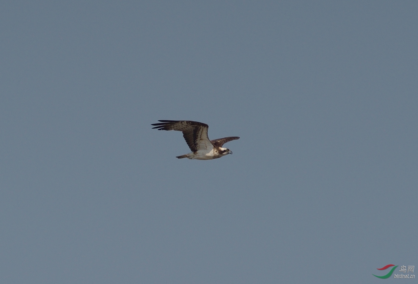 D4S_3942.jpg