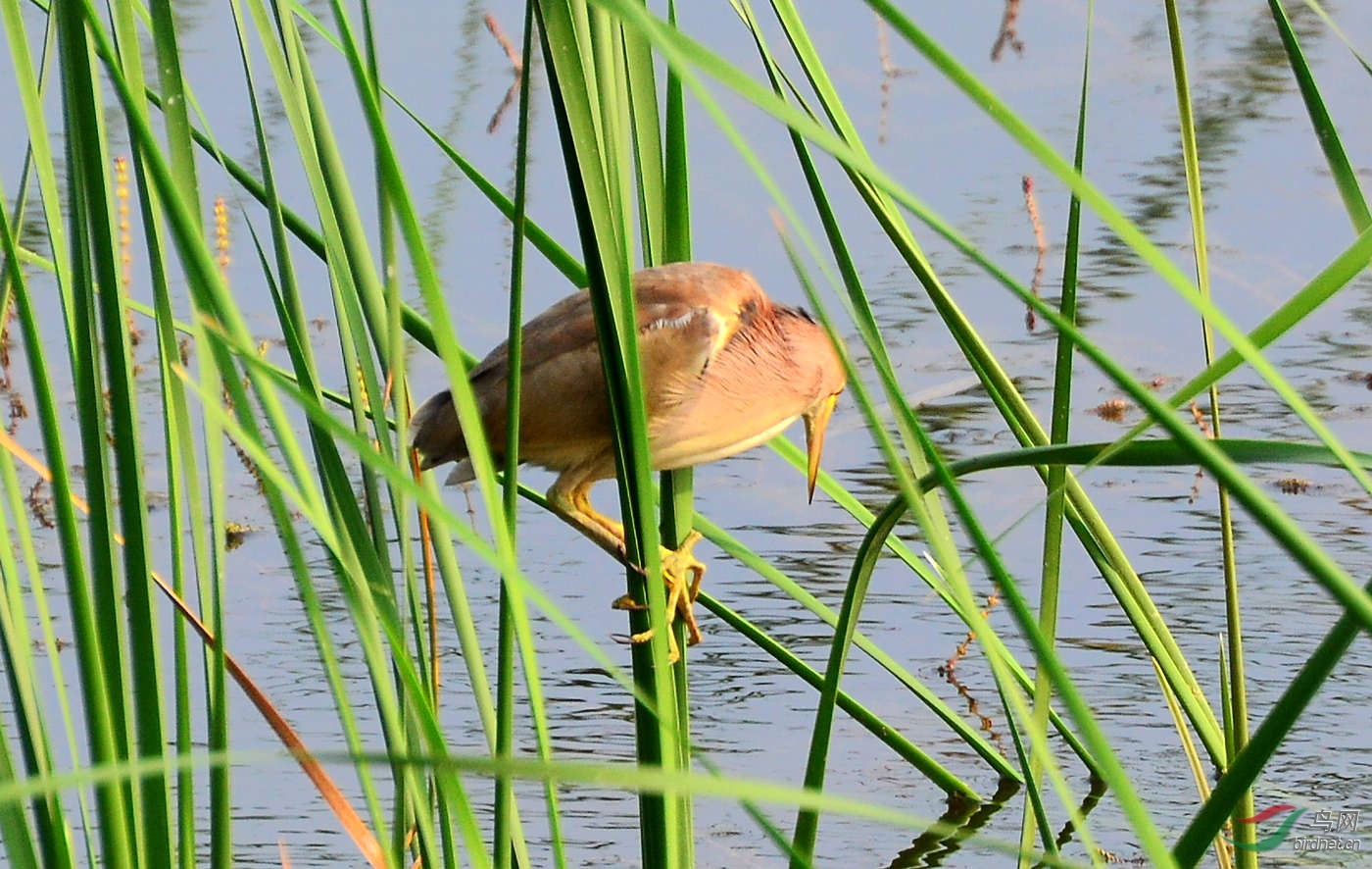 DSC_6190.JPG
