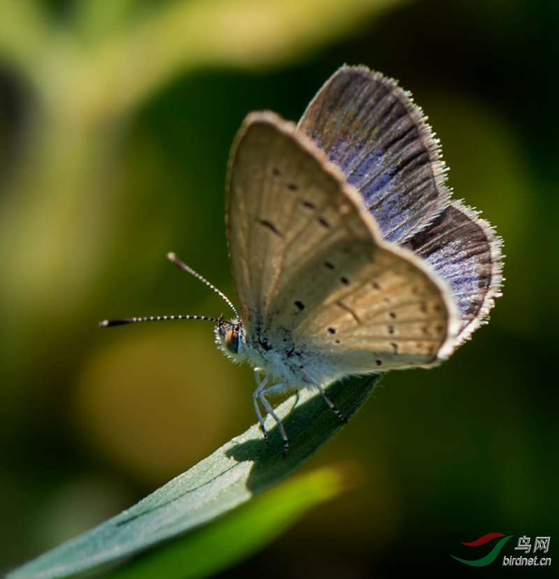΢��ͼƬ_20190809095918.jpg