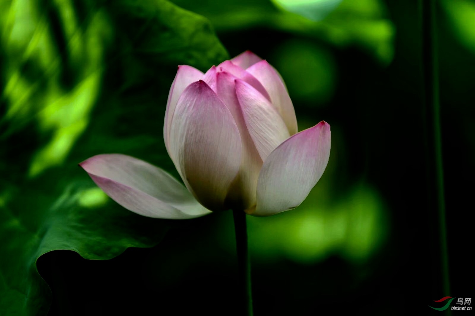 C7E27591-75CB-487A-BB45-908F18C8D0A0.jpeg