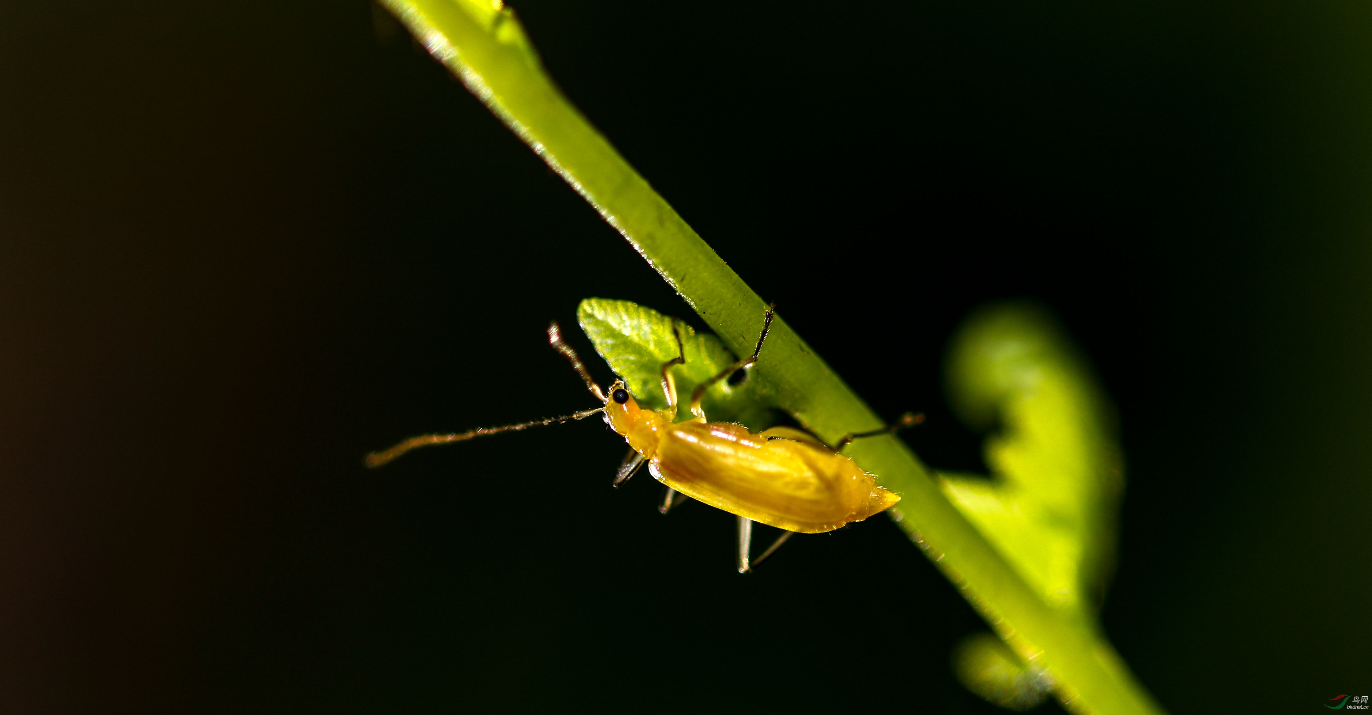 _76A8969.jpg
