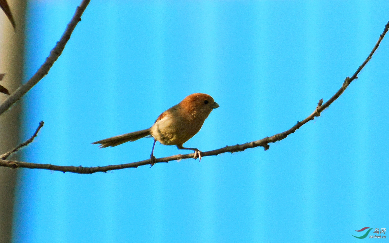 DSC_9569.JPG