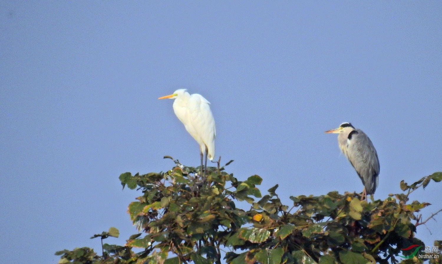 ���� DSCN3261.JPG