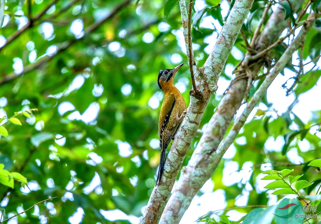 916A8051  01_����.jpg