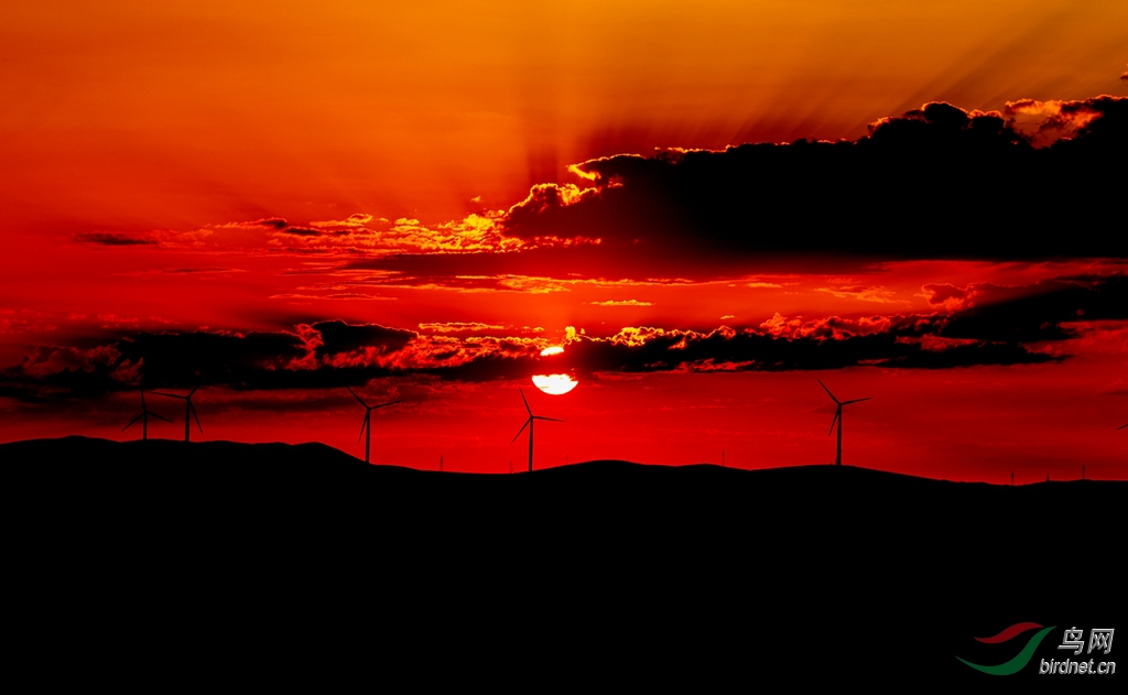 3S5A0996  01_����.jpg