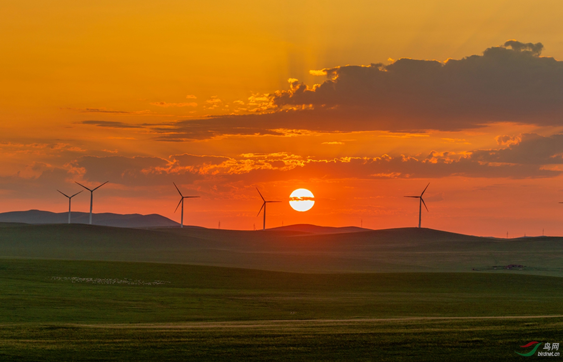 3S5A1024  01_����.jpg